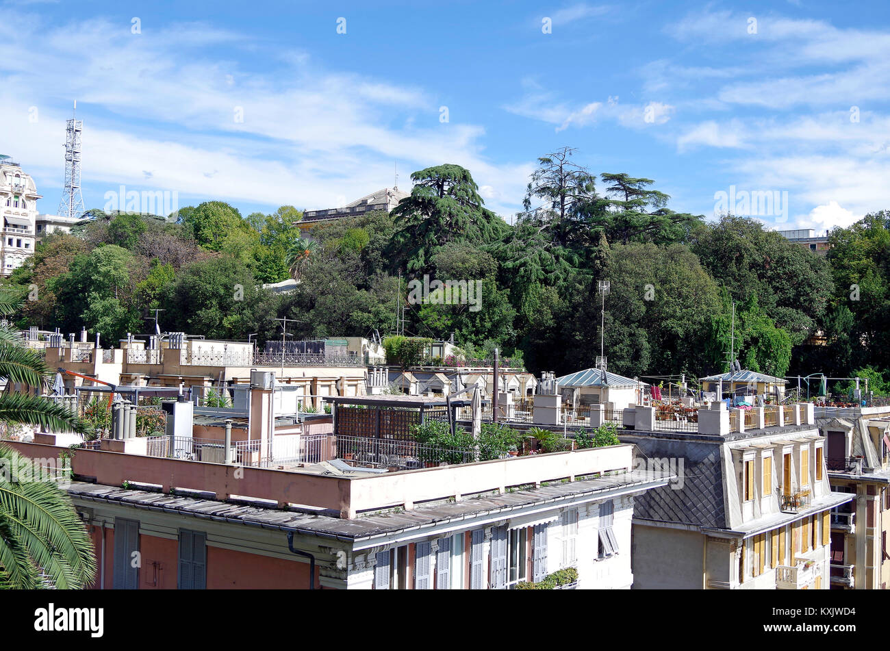 View from street level, of roof gardens of 6 storey apartment buildings, in an adjacent street, in a residential area near the centre of Genoa, Italy Stock Photo