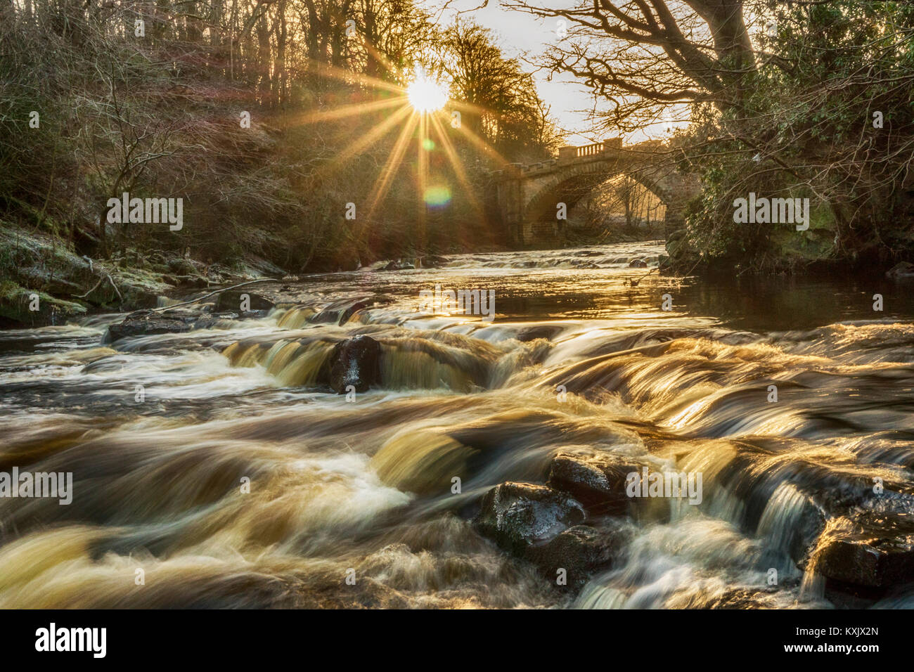 This is the River Almond, flowing under the Nasmyth Bridge in Almondell Country Park, near East Calder, West Lothian. Stock Photo