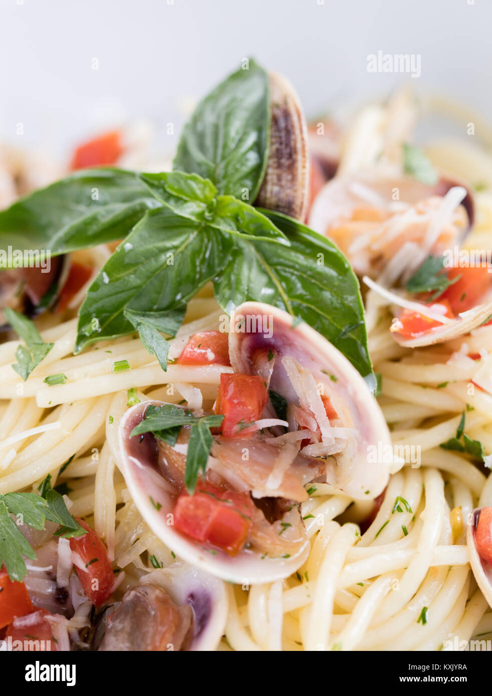 spaghetti vongole, spaghetti with clams and chilli Stock Photo Alamy