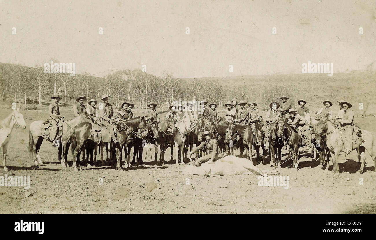 Quite A Few Cowboys To Rope One Steer Stock Photo