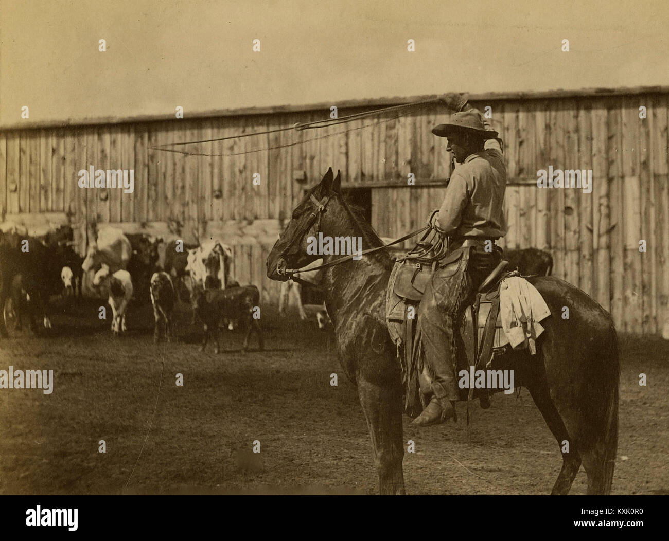 William Henry Jackson "In The Corral. The Lariat" Stock Photo