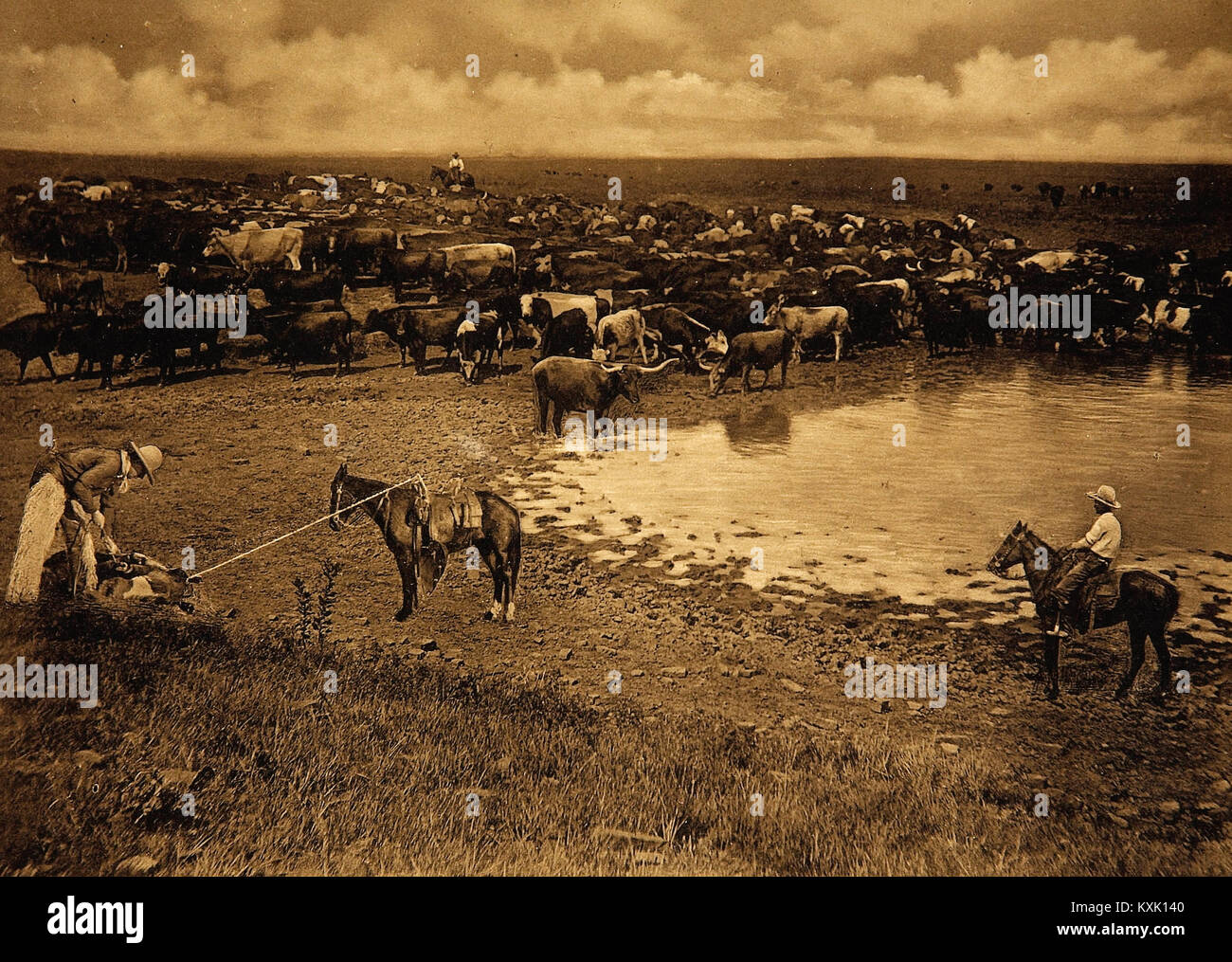 Cattle Drovers Stock Photos Cattle Drovers Stock Images - 