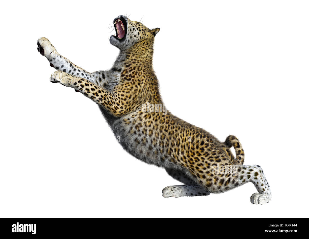 3D rendering of a big cat leopard isolated on white background Stock ...