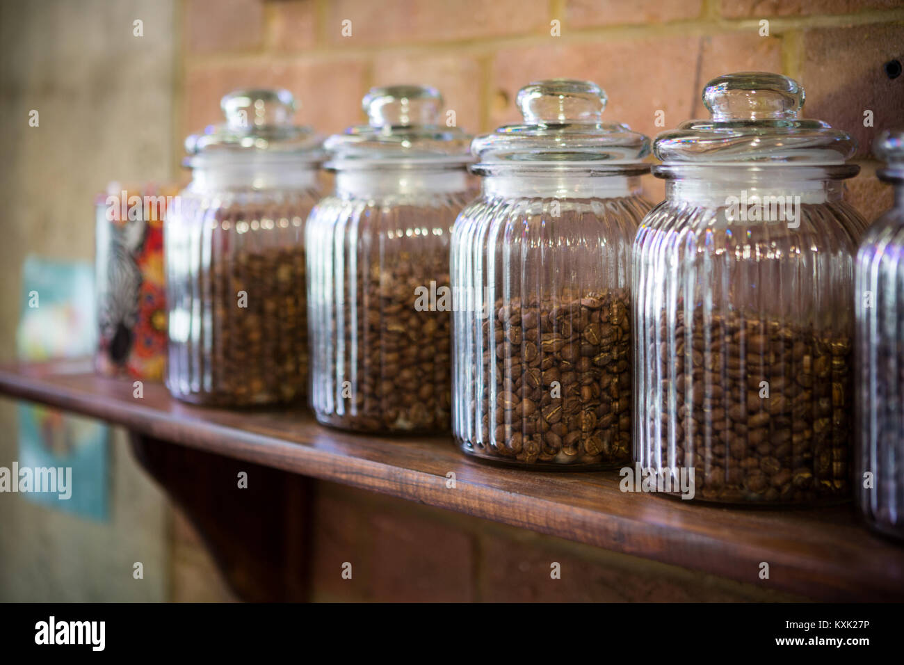 https://c8.alamy.com/comp/KXK27P/coffee-beans-in-glass-jars-on-a-shelf-KXK27P.jpg