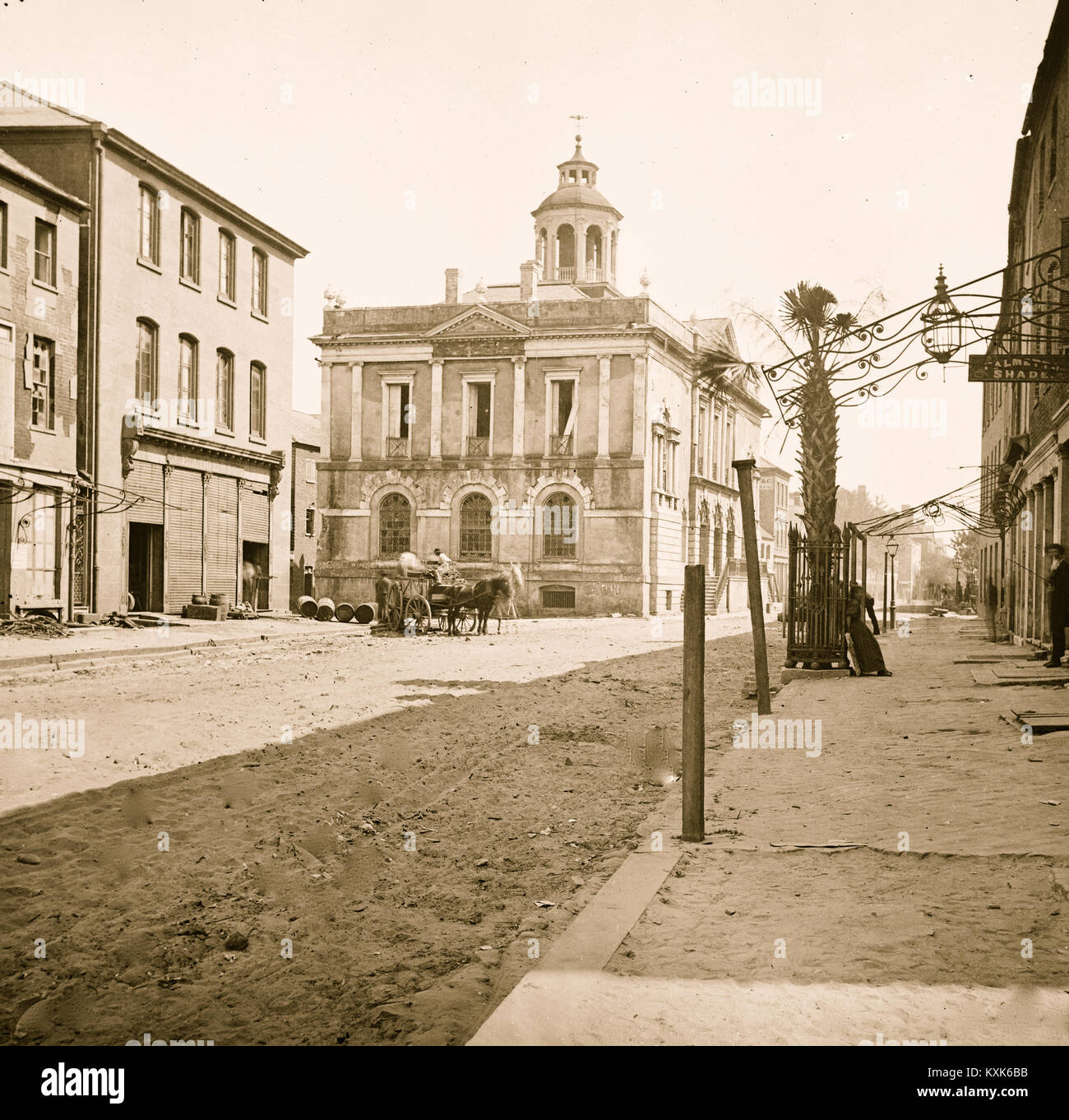 Charleston, South Carolina. Post office, East Bay Street, showing the only Palmetto tree in the city Stock Photo