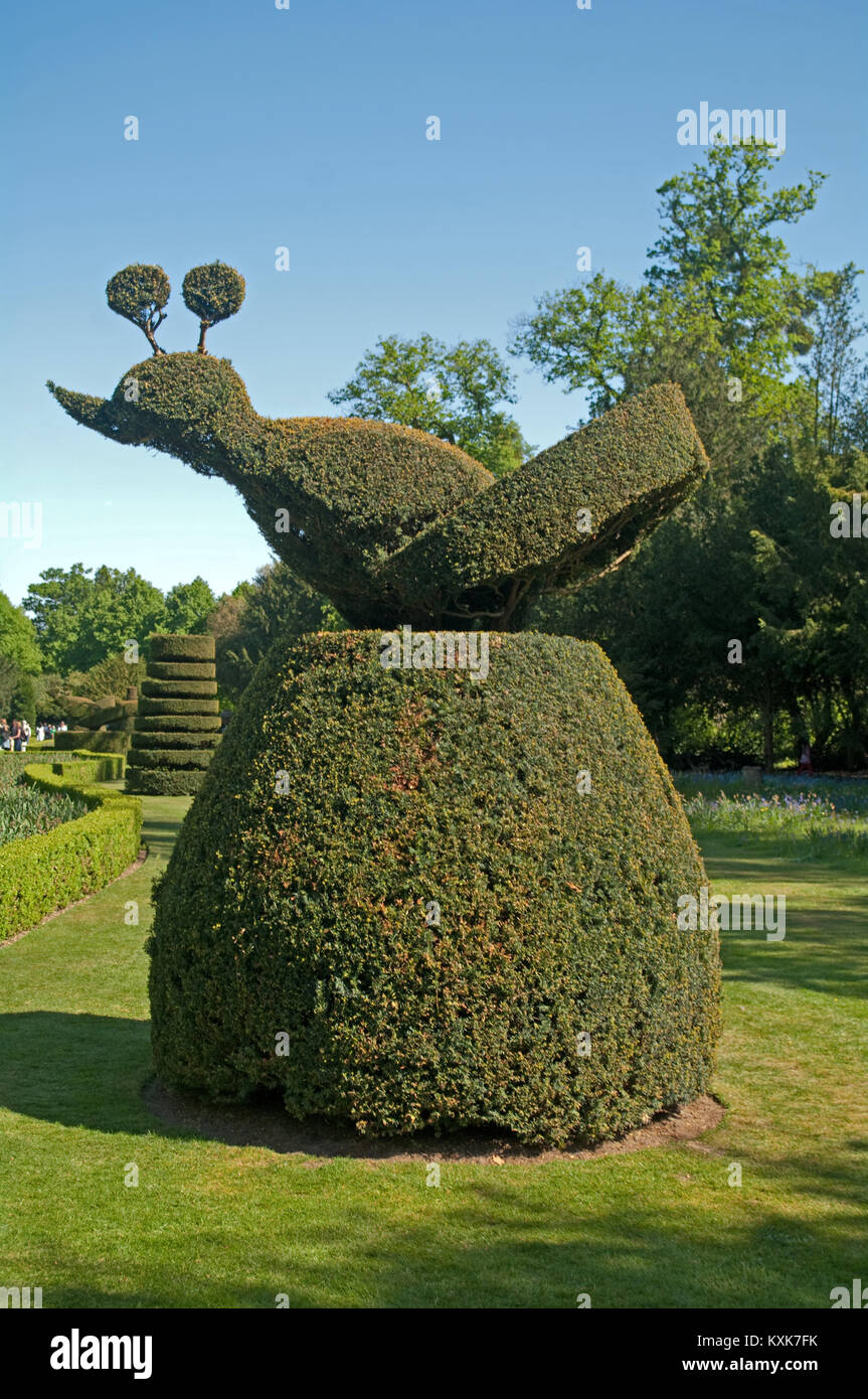 Cliveden House Topiary Long Garden, Buckinghamshire, England, Stock Photo