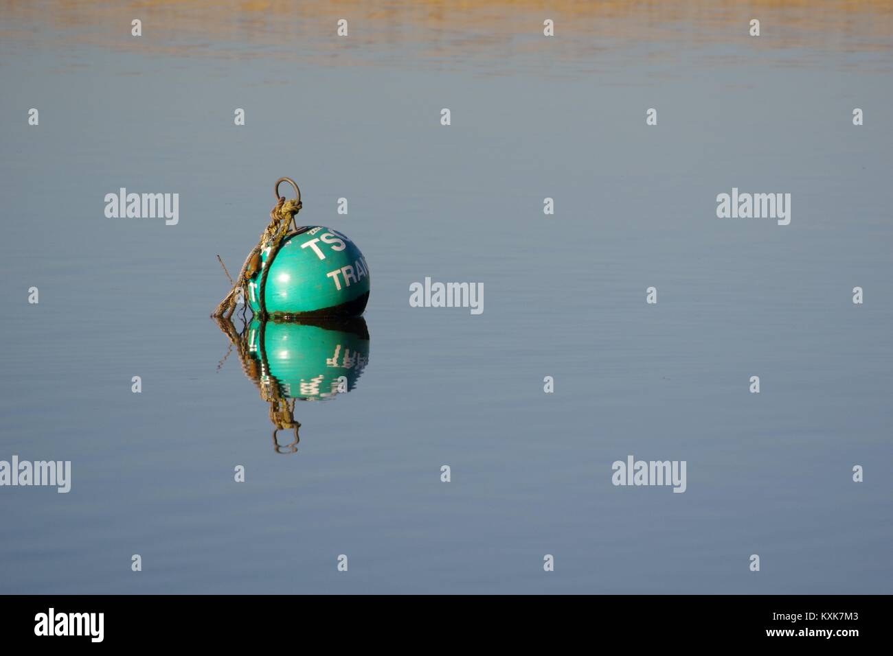 Green Mooring Buoy on the Calm Water of the Exe Estuary at High Tide