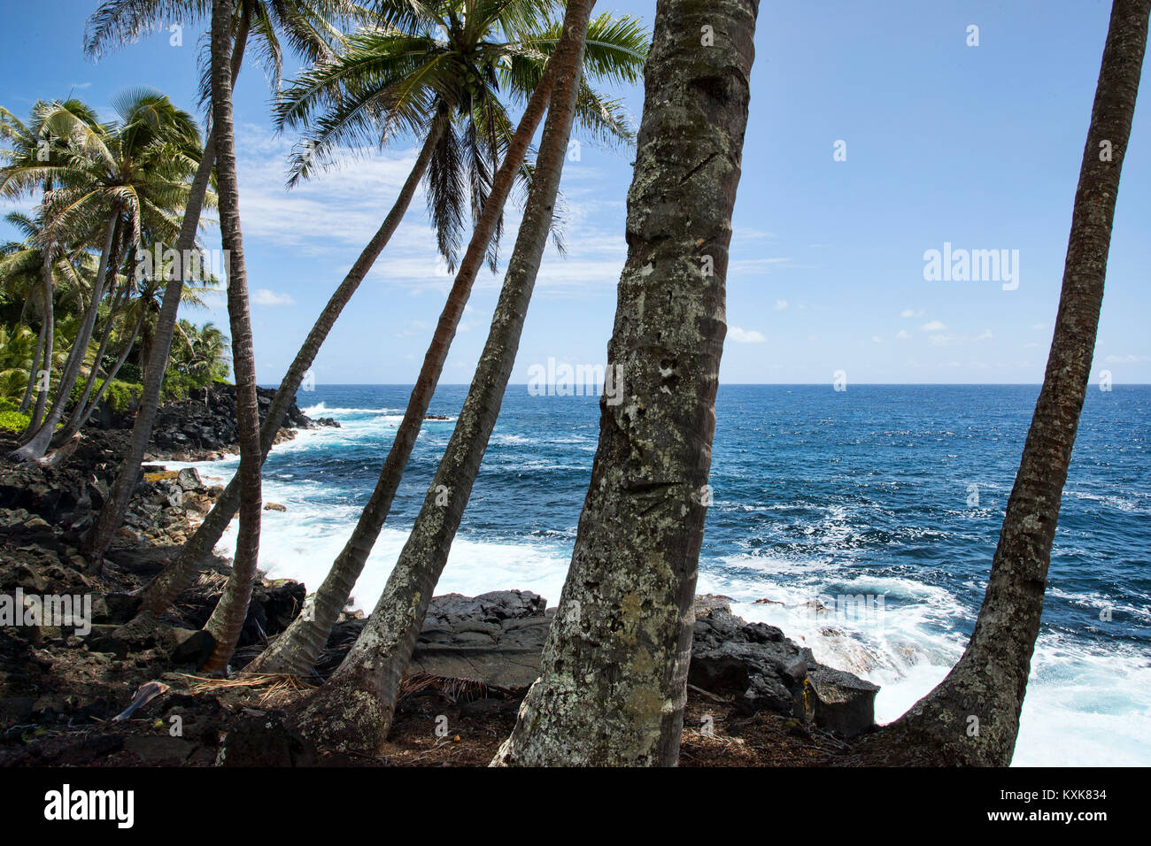 Hilo Hawaii rocky tropical beach shore pan. Vacation destination. Big Island, largest, most volcanic active location. Economy is tourism based. Water. Stock Photo