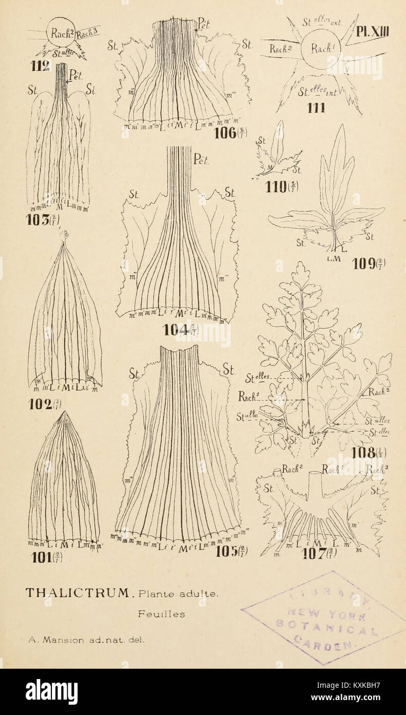 A collection of botanical records from the University of Liège ...