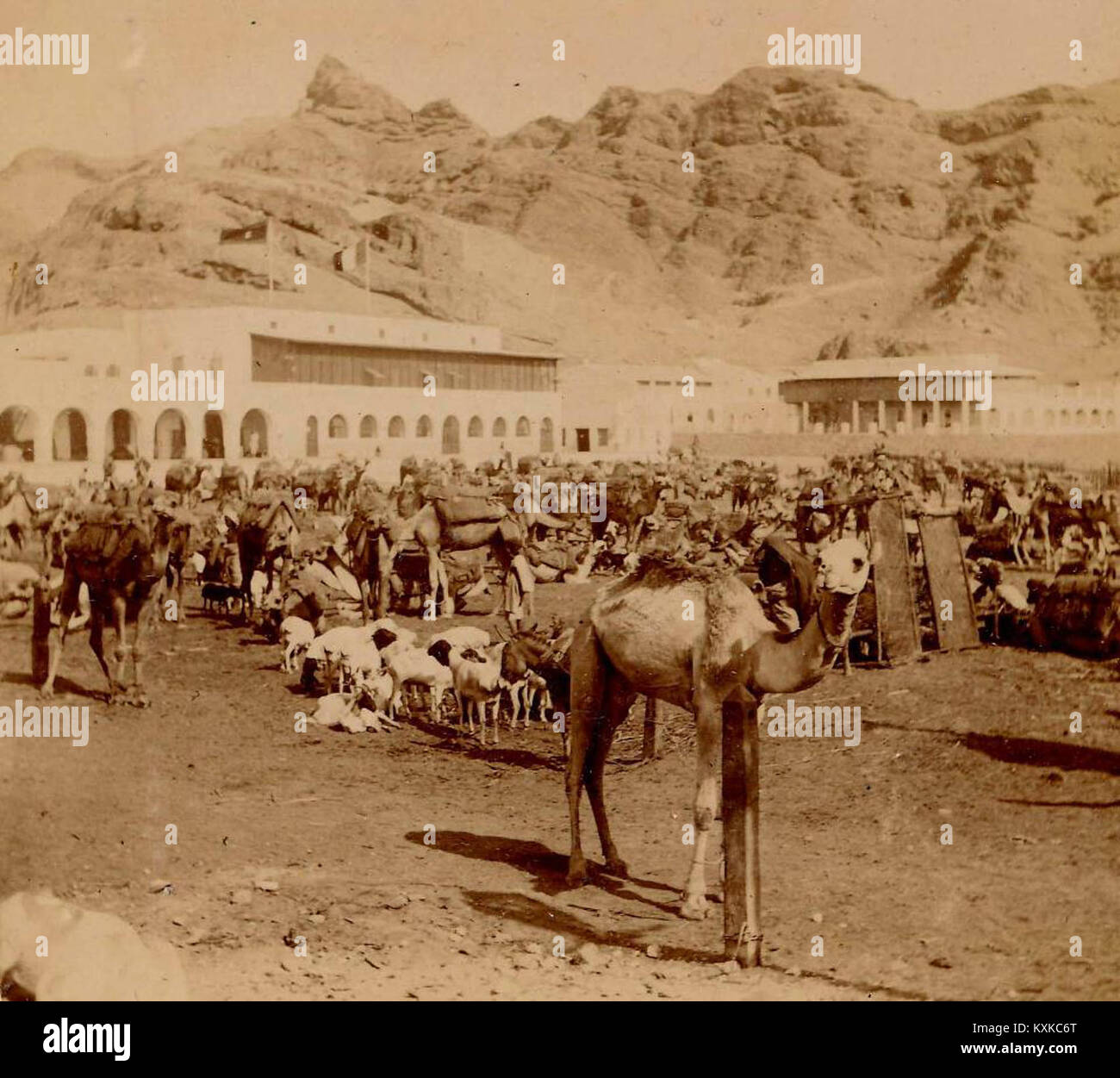 Archivo General de la Nación Argentina 1899 viaje inaugural fragata Sarmiento, mercado general de Aden Stock Photo