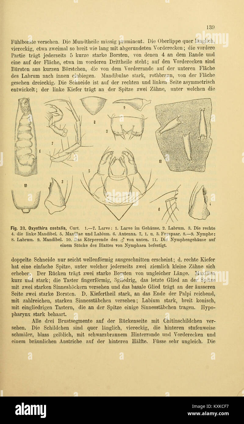 Archival flora documentation hi-res stock photography and images - Alamy