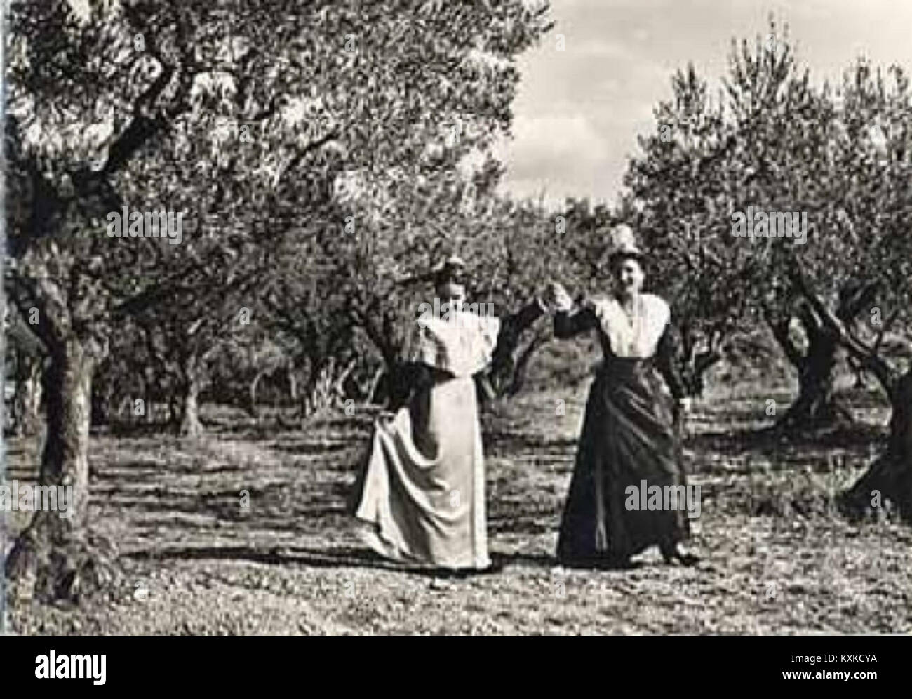 Arlésiennes dansant la farandole sous les oliviers Stock Photo