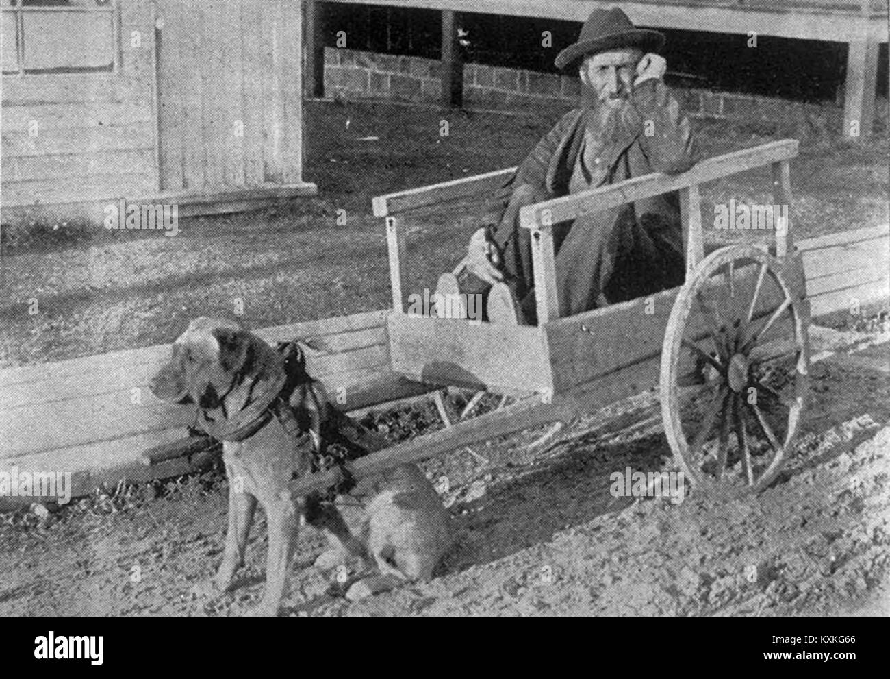 Attelage typique d'un vieux pêcheur de la ville de Rimouski (1904) Stock Photo