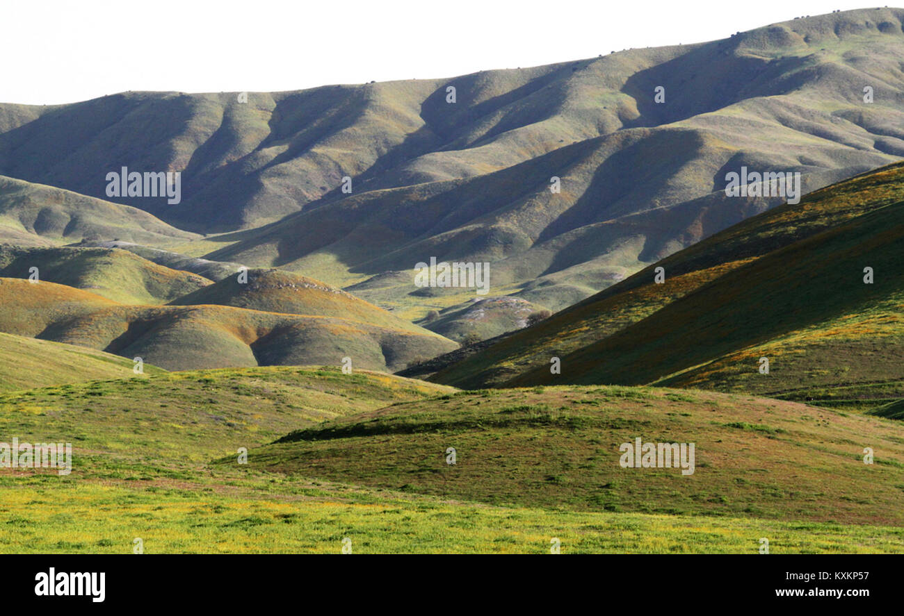 Bitterwater Valley is a rural region known for its natural landscapes ...