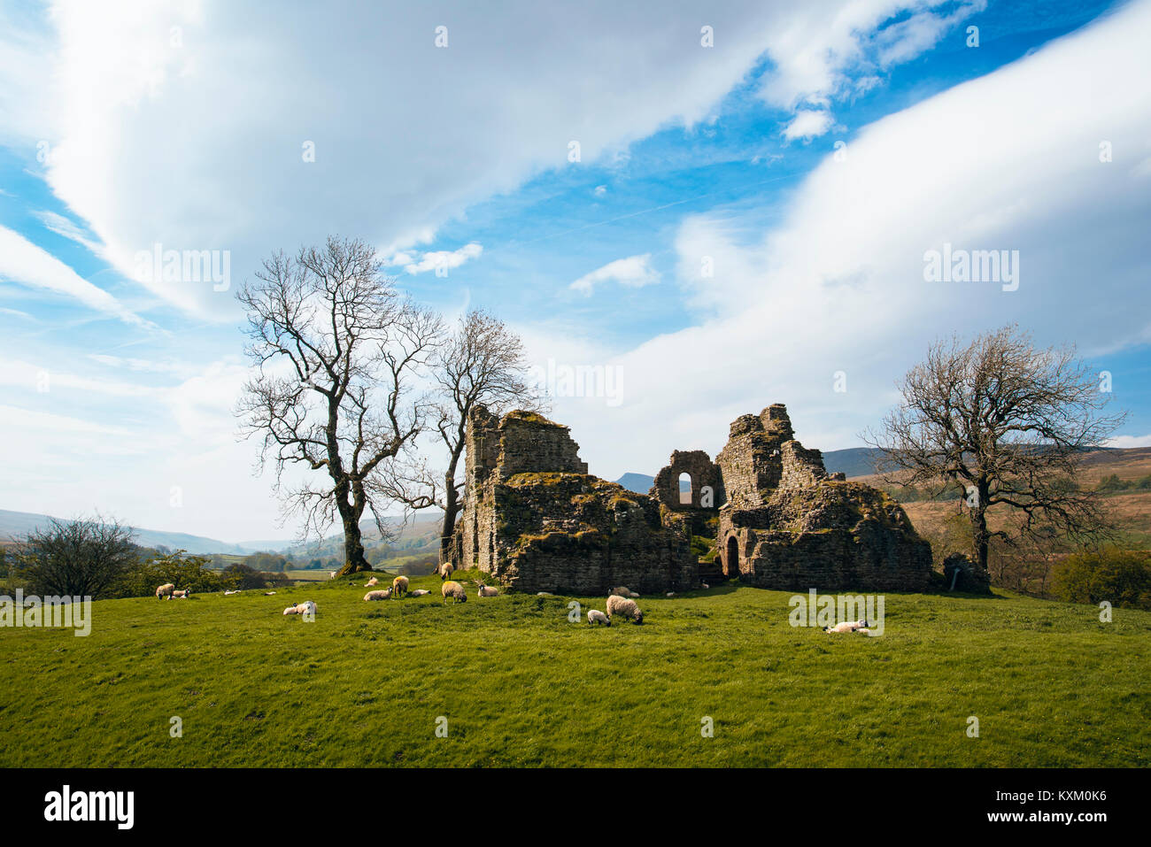 Remains of Pendragon Castle in the Mallerstang valley Cumbria with Wild Boar Fell behind Stock Photo