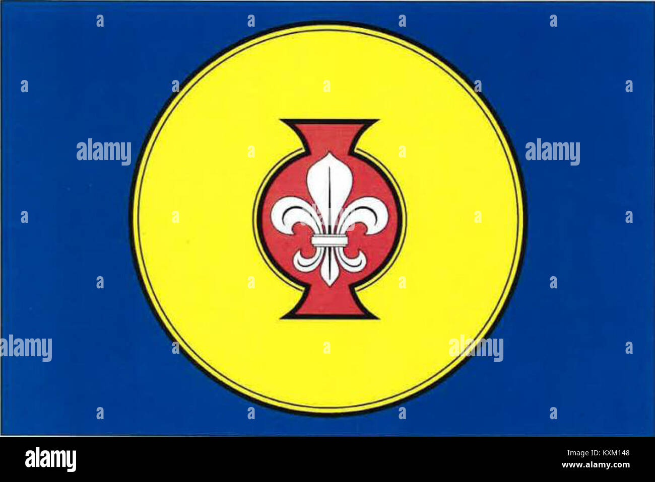Devizes Emblem The Bdeneves flag represents a regional or organizational symbol ...