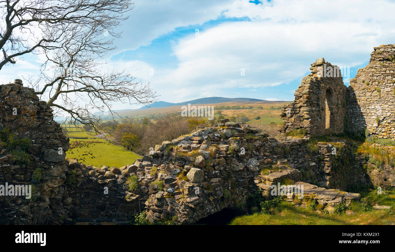 Remains of Pendragon Castle in the Mallerstang valley Cumbria with Wild Boar Fell behind Stock Photo