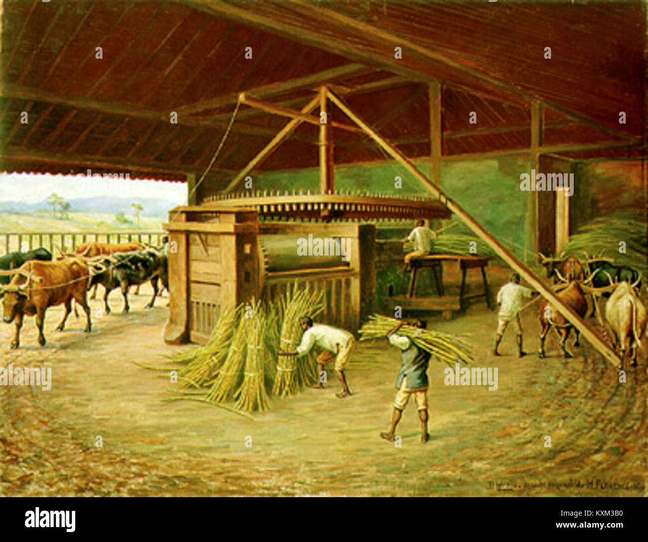 Sugar plantation brazil 1800s hi-res stock photography and images - Alamy