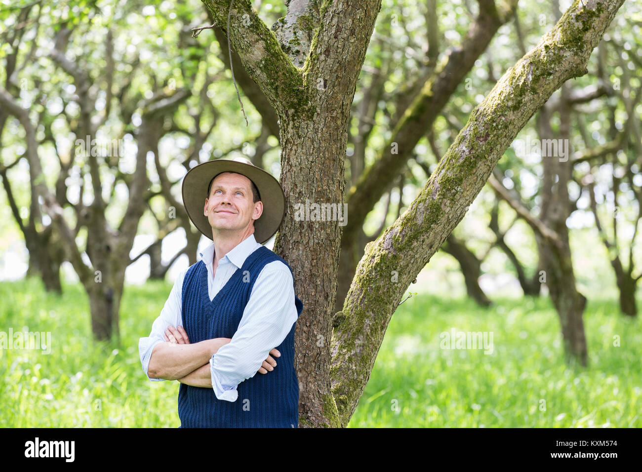 Portrait of man arms folded looking up Stock Photo