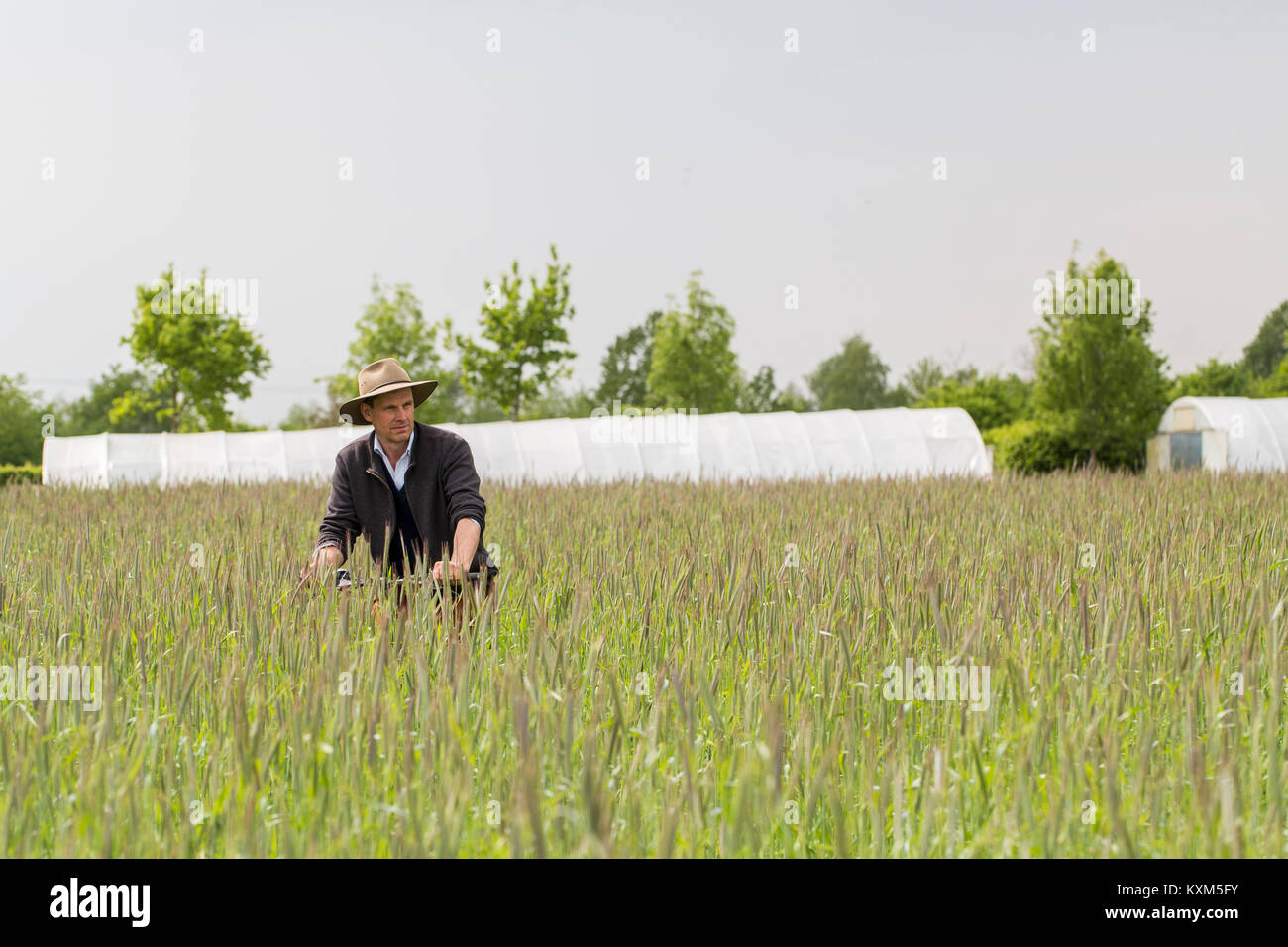 Farmer green crops hi-res stock photography and images - Alamy