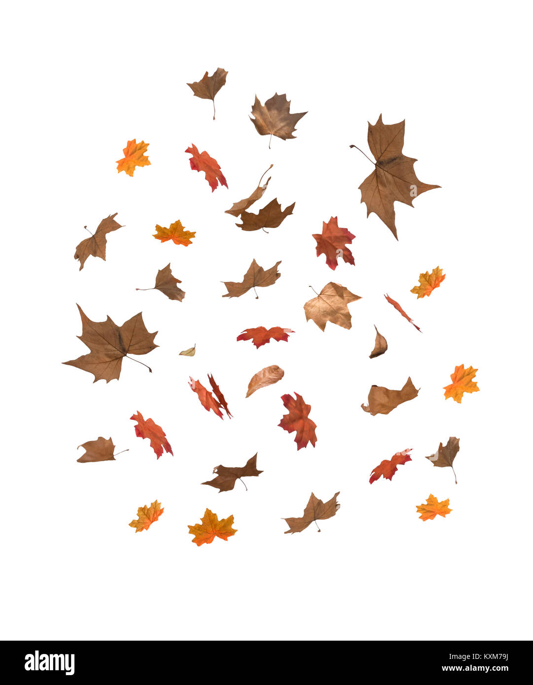 A collection of tumbling Autumnal leaves Stock Photo