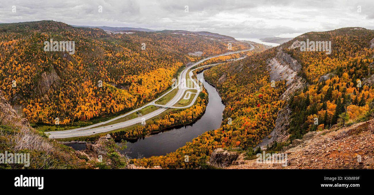 Yellow Trees in Autumn Stock Photo - Alamy