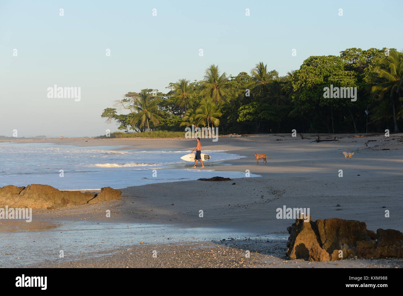 Surfing in Costa Rica on a palm fringed west coast beach Stock Photo