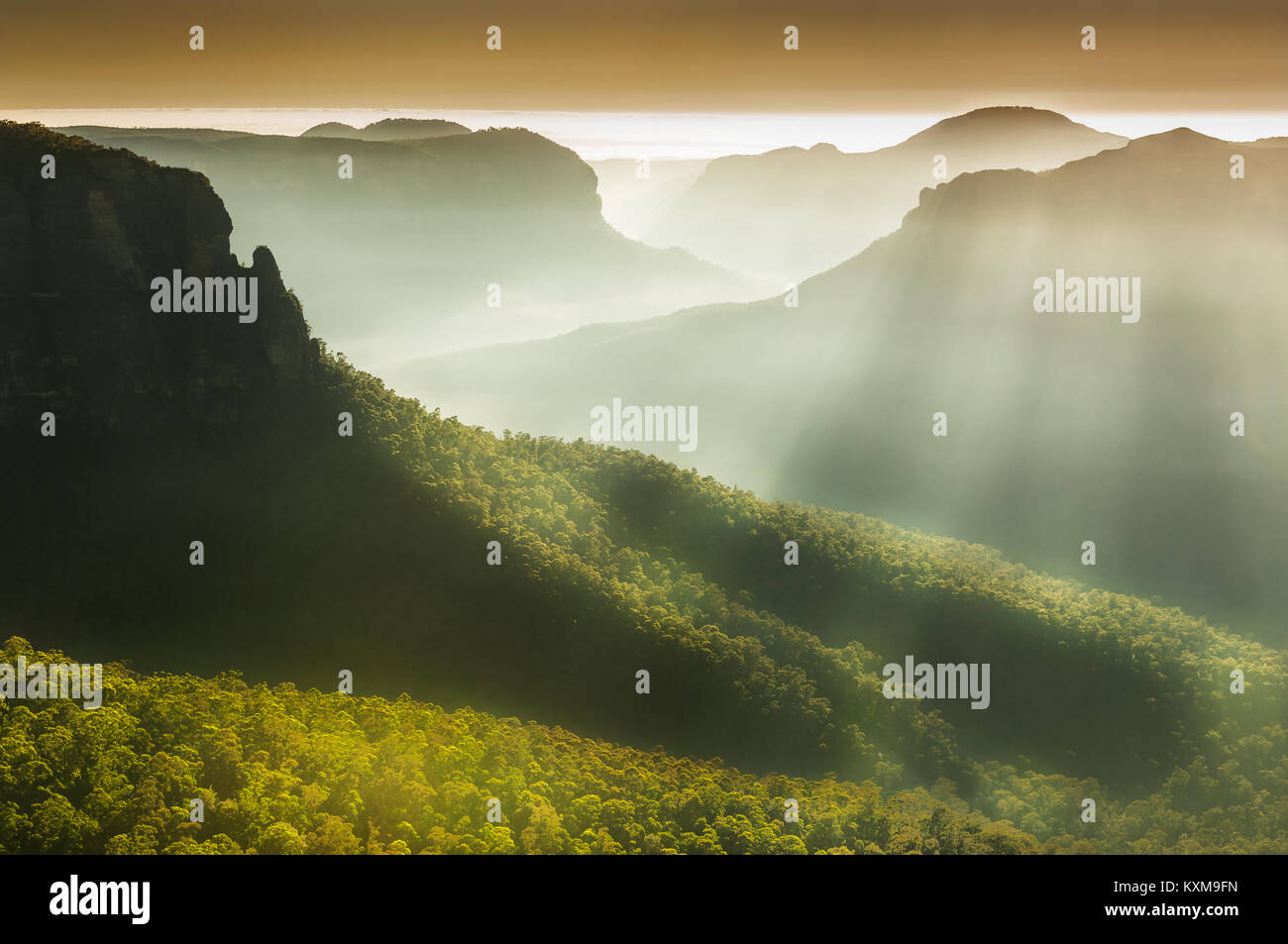 Misty rays of light in Grose Valley. Stock Photo