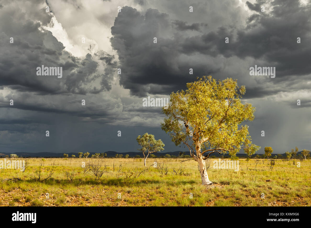 An approaching thunderstorm in the Pilbara. Stock Photo