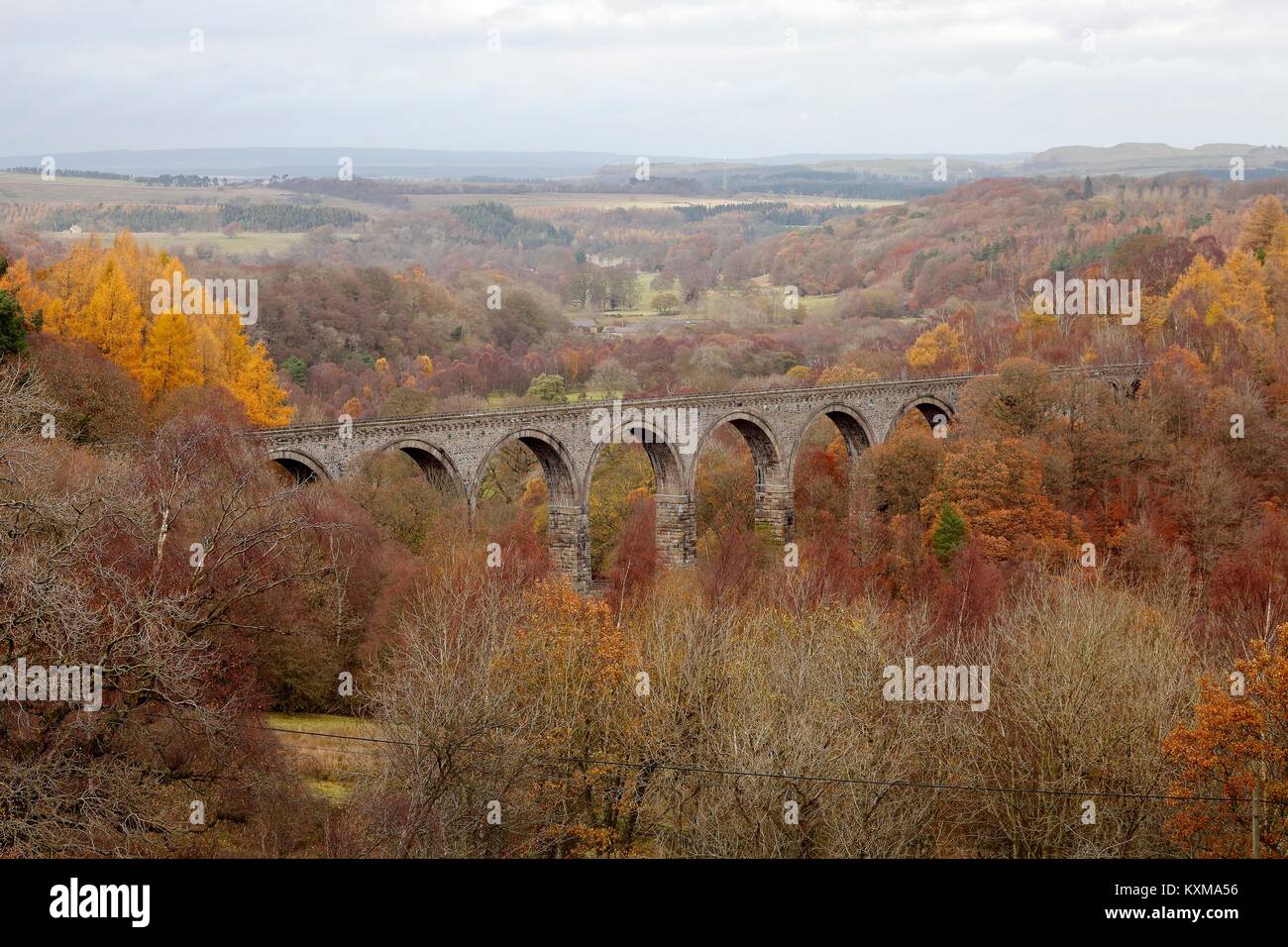 Disused Lambley Viaduct, Haltwhistle to Alston railway. Haltwhistle, Northumberland, England, United Kingdom. Autumn Stock Photo