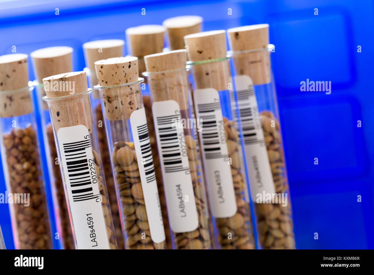 gene banks plants Stock Photo