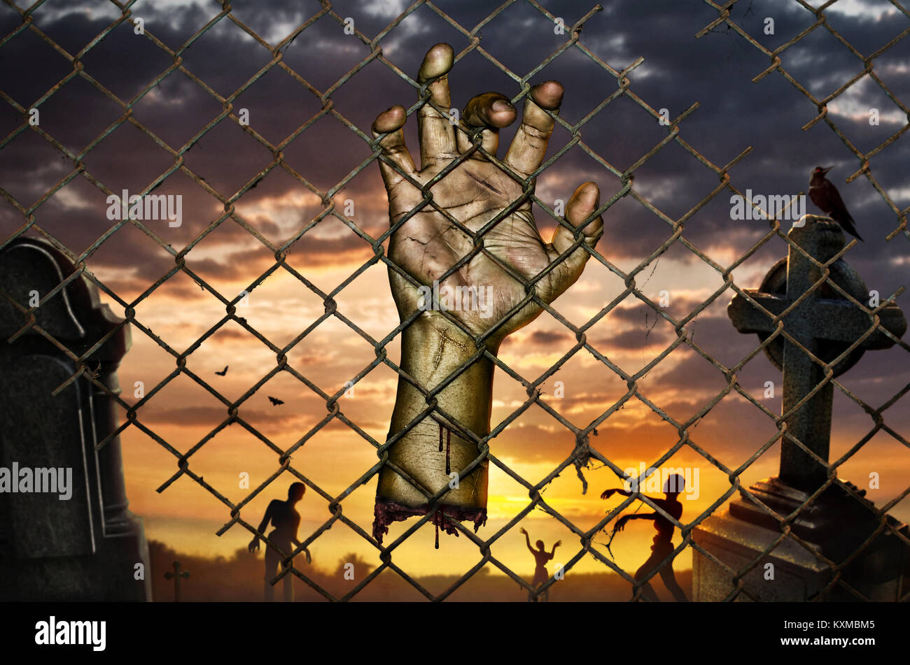 Zombie hands rising in dark Halloween night Stock Photo Alamy