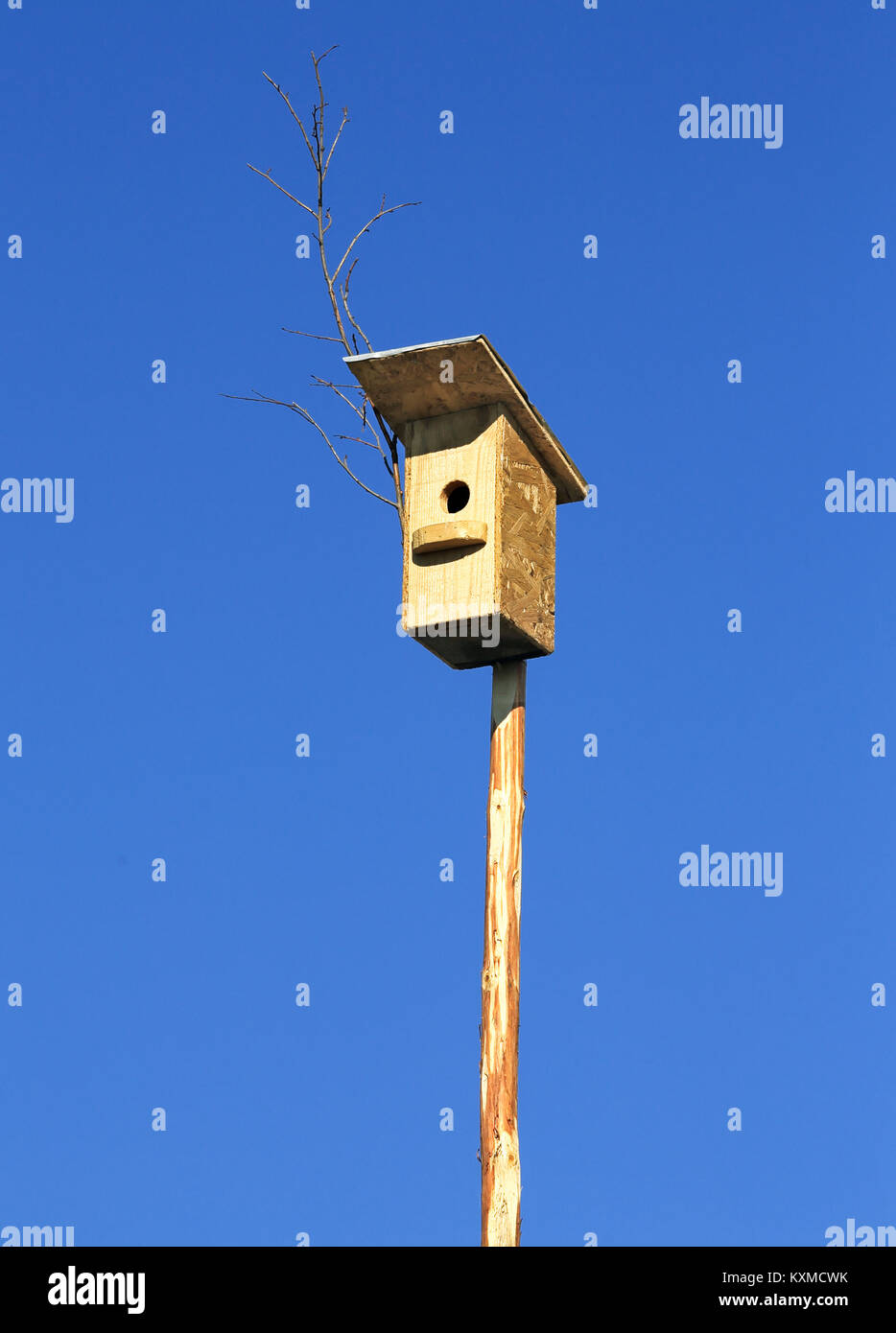 Birdhouse on a long pole against the blue sky Stock Photo