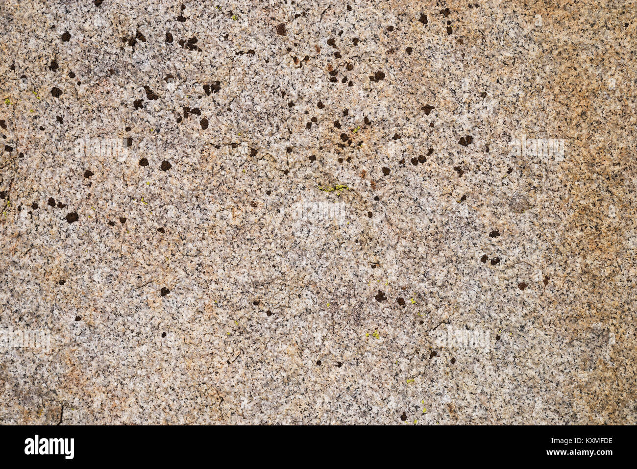 natural granite rock background texture with lichen Stock Photo