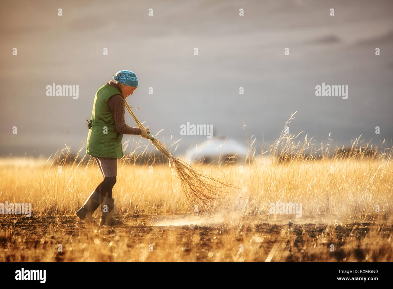 Rural woman Mongolia sweeping collecting dung for fireplace Stock Photo