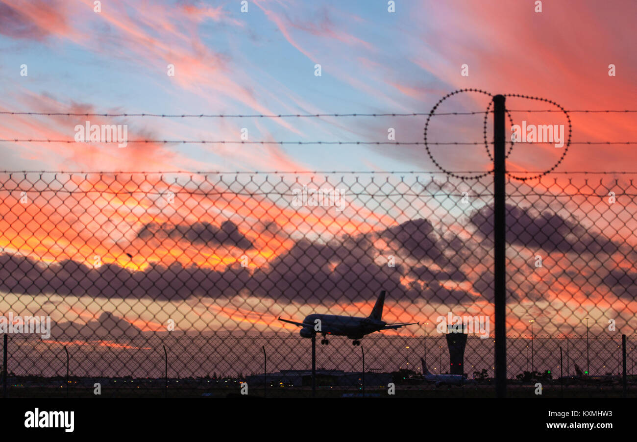 Plane landing in sunset Stock Photo