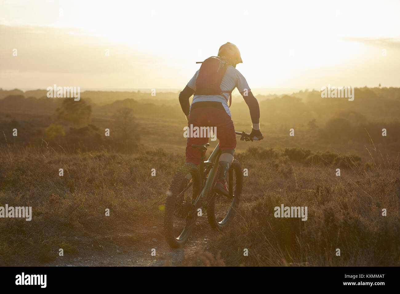 Male mountain biker biking on moorland track in sunlight Stock Photo
