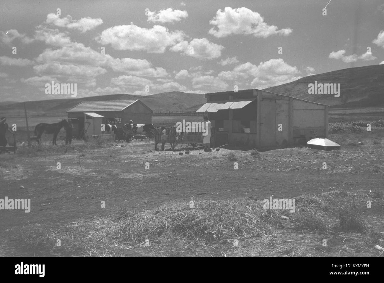 Beit yossef hires stock photography and images Alamy