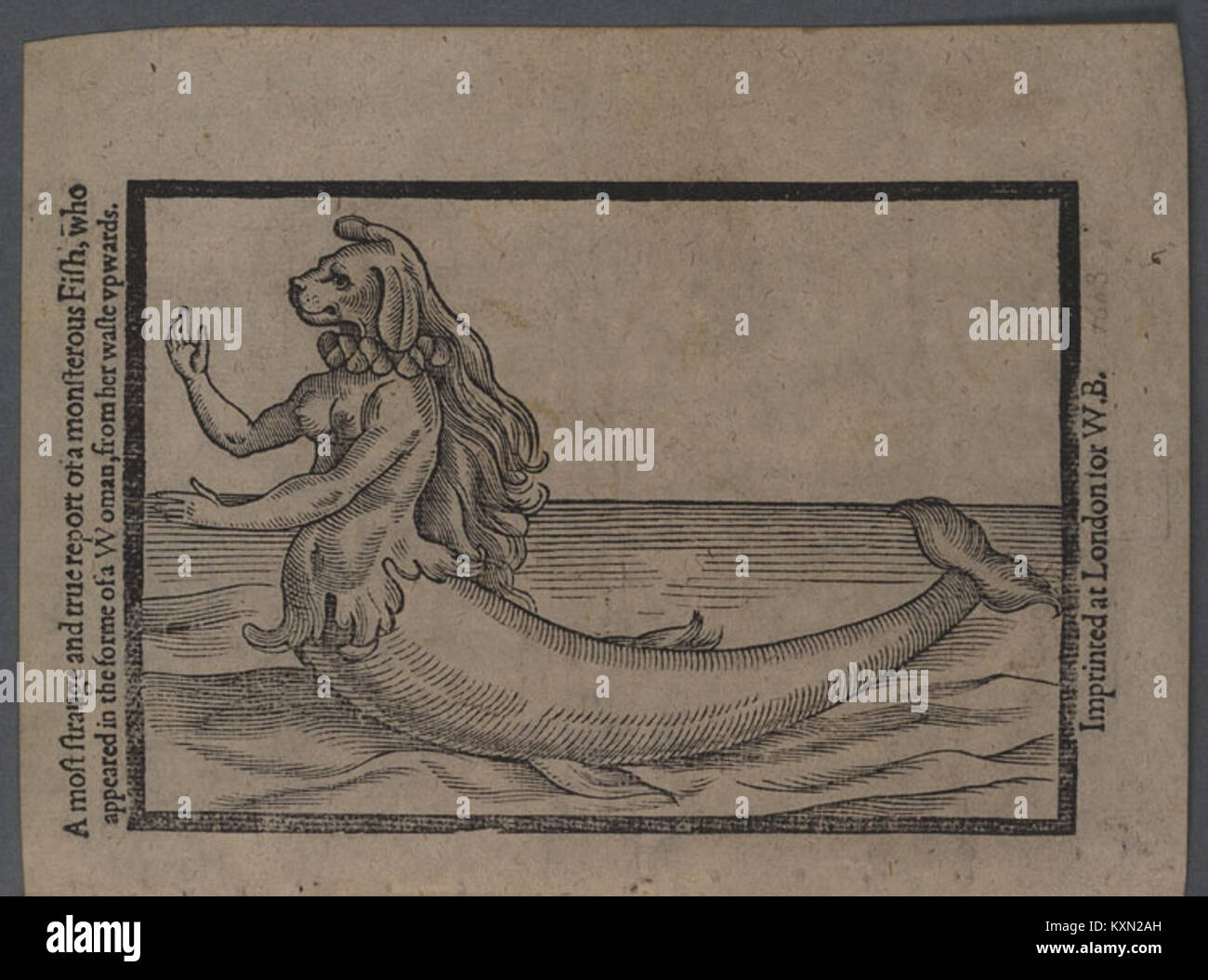 A most strange and true report of a monsterous fish. 1604 rotated Stock ...