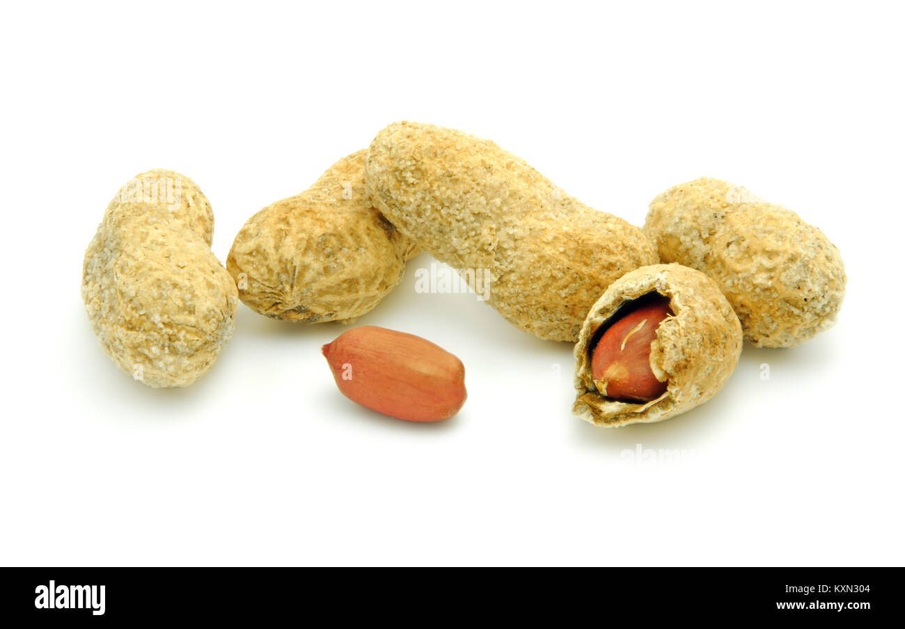 peanuts in shell isolated Stock Photo Alamy