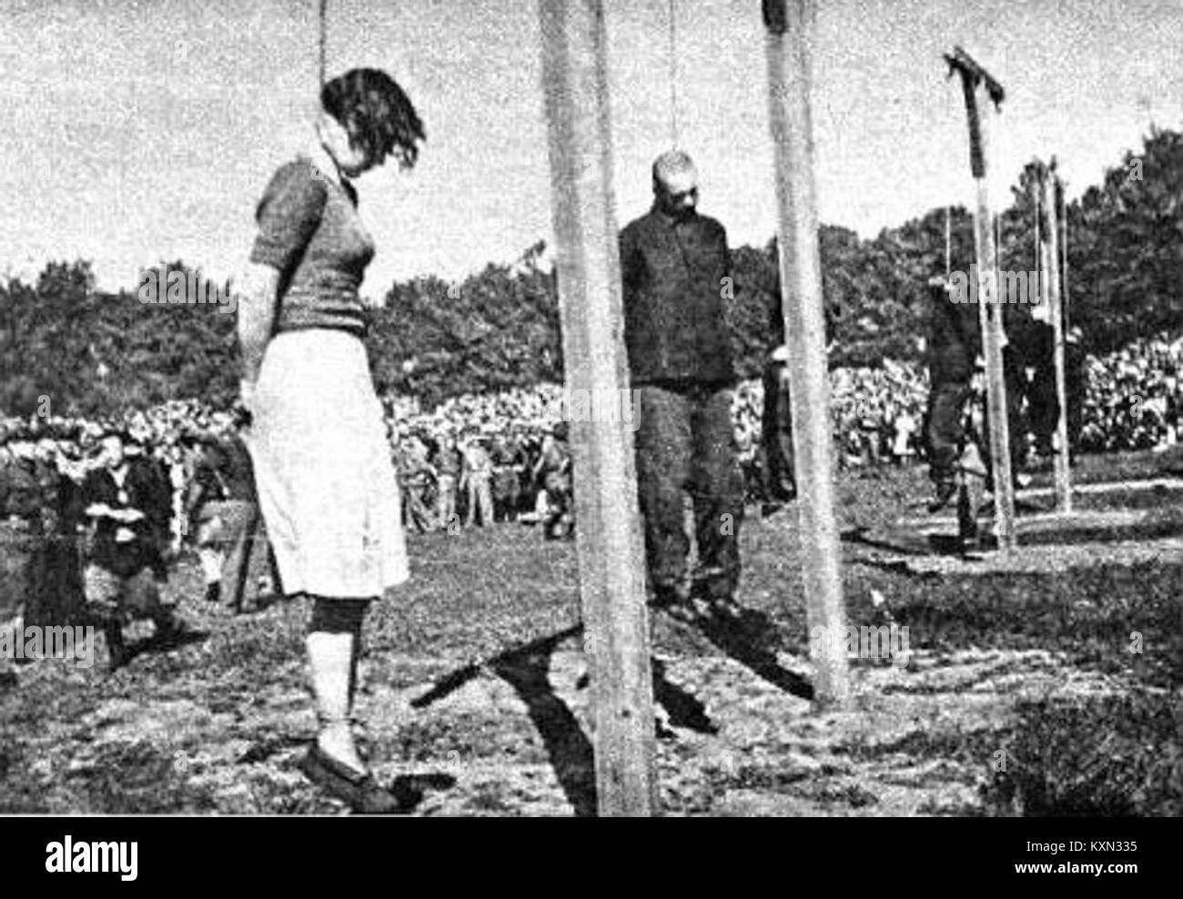 The photograph documents the executions at Biskupia Górka, showing three individuals identified as Steinhoff, Pauls, and three Kapos in the sequence. These executions occurred during the Nazi occupation in Poland. Stock Photo