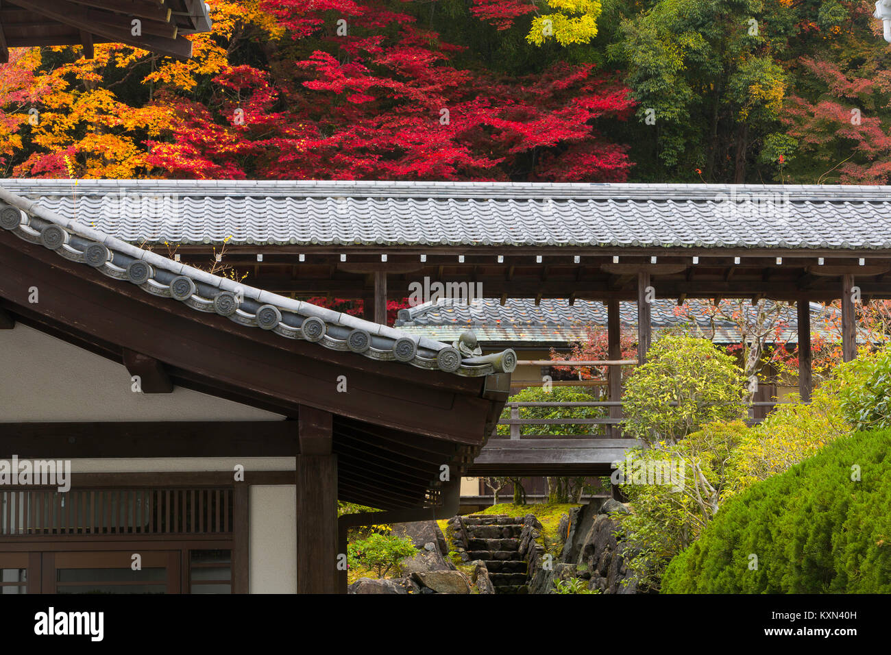 Fall color and a roof top in Kyoto, Japan. Stock Photo