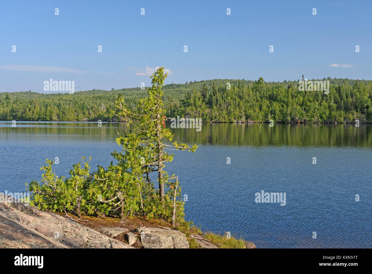 Sunny Day on a North Woods Island on Ogishkemuncie Lake in the Boundary Waters in Minnesota Stock Photo