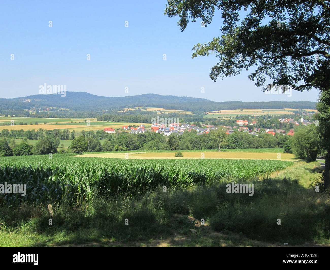 Blick vom Wolfersreuther Berg über die Waldershofer Senke Stock Photo