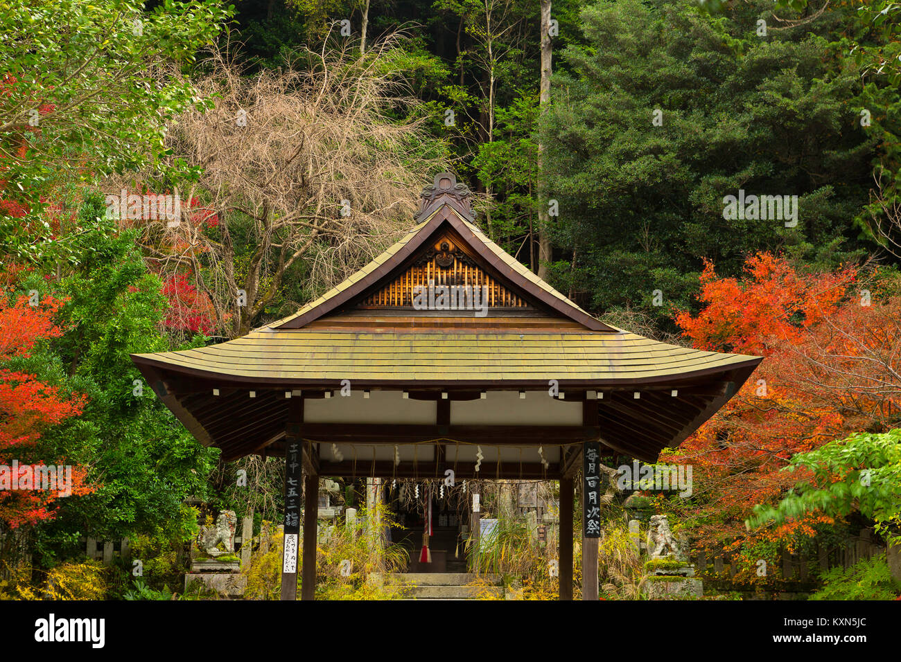 A shrine and fall color in Kyoto, Japan. Stock Photo