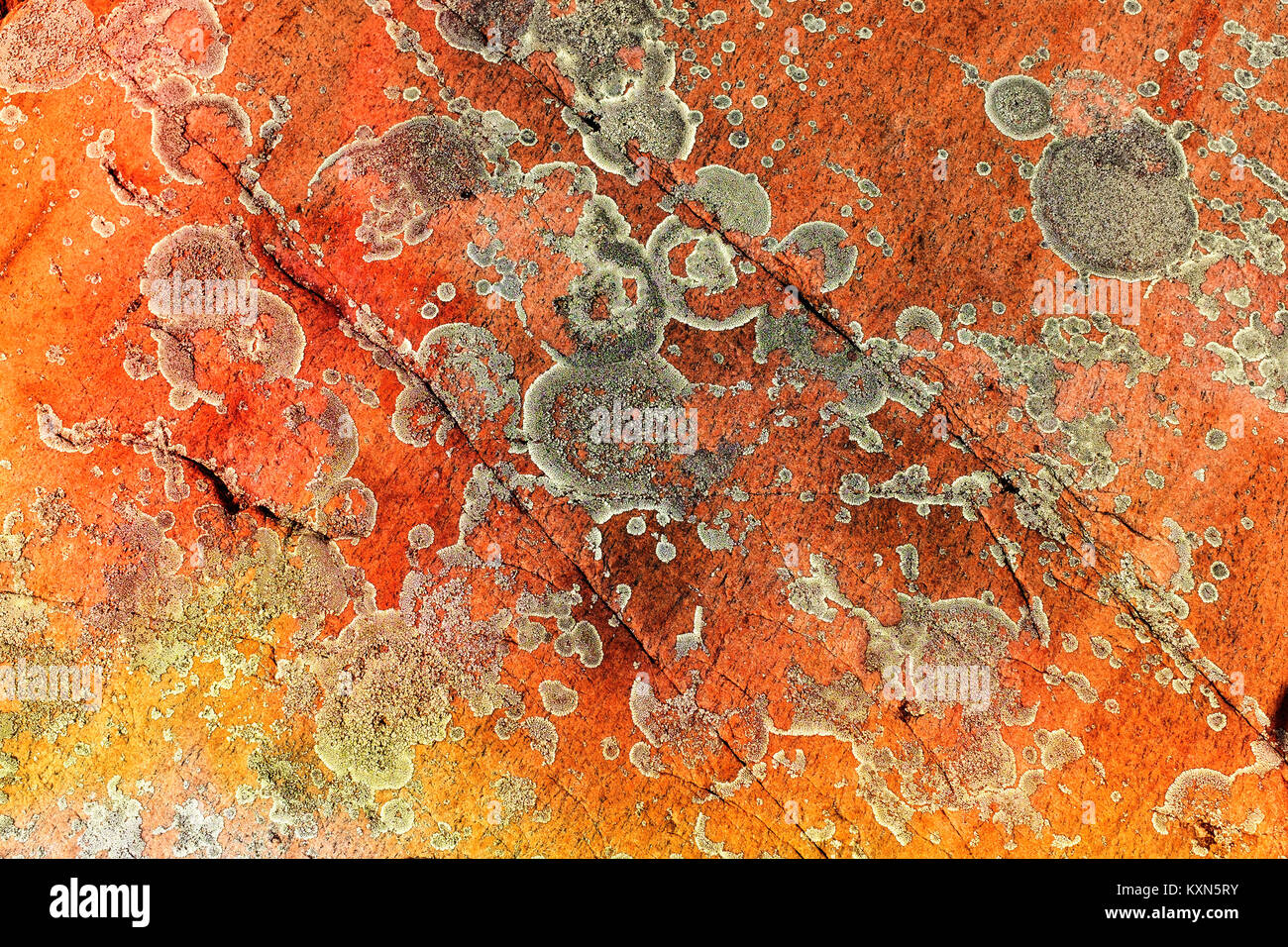 One of the many interesting patterns on the georgian bay rocks Stock ...