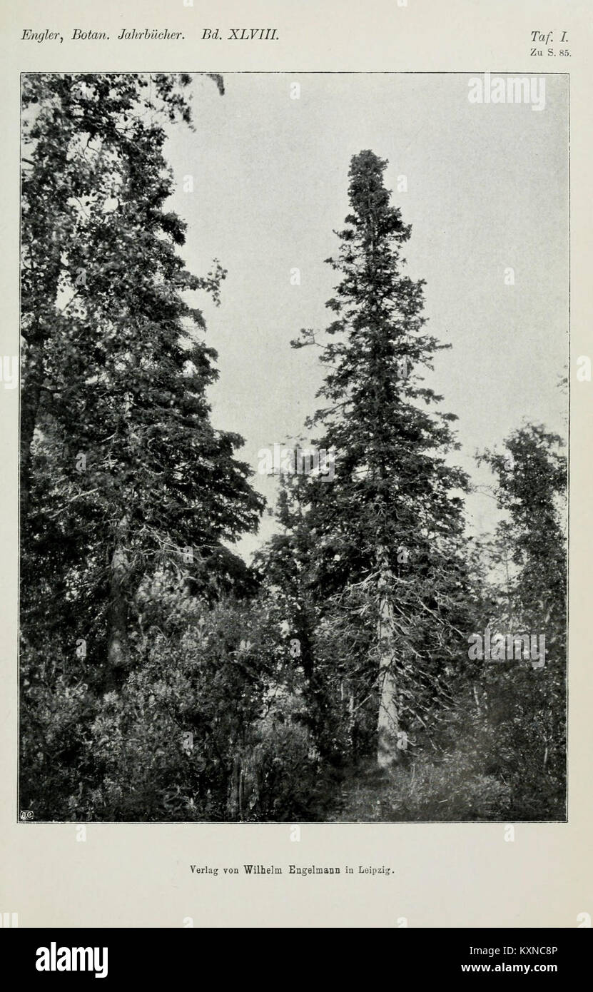 Vintage botanische illustration hires stock photography and images Alamy