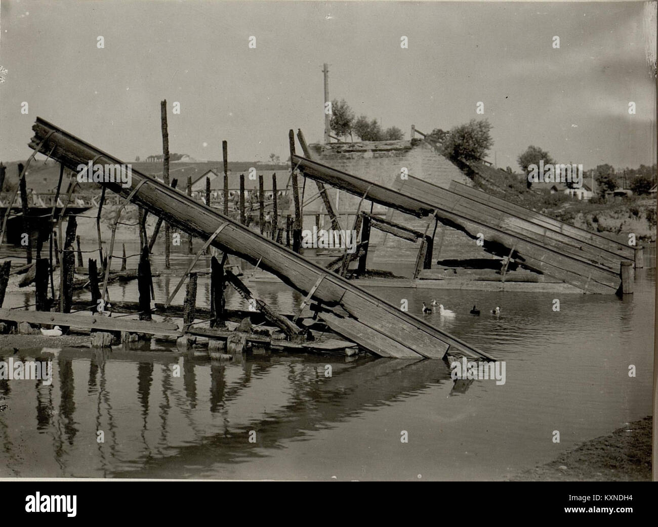 Brückenbau bei Czortkow. (BildID 15532962) Stock Photo