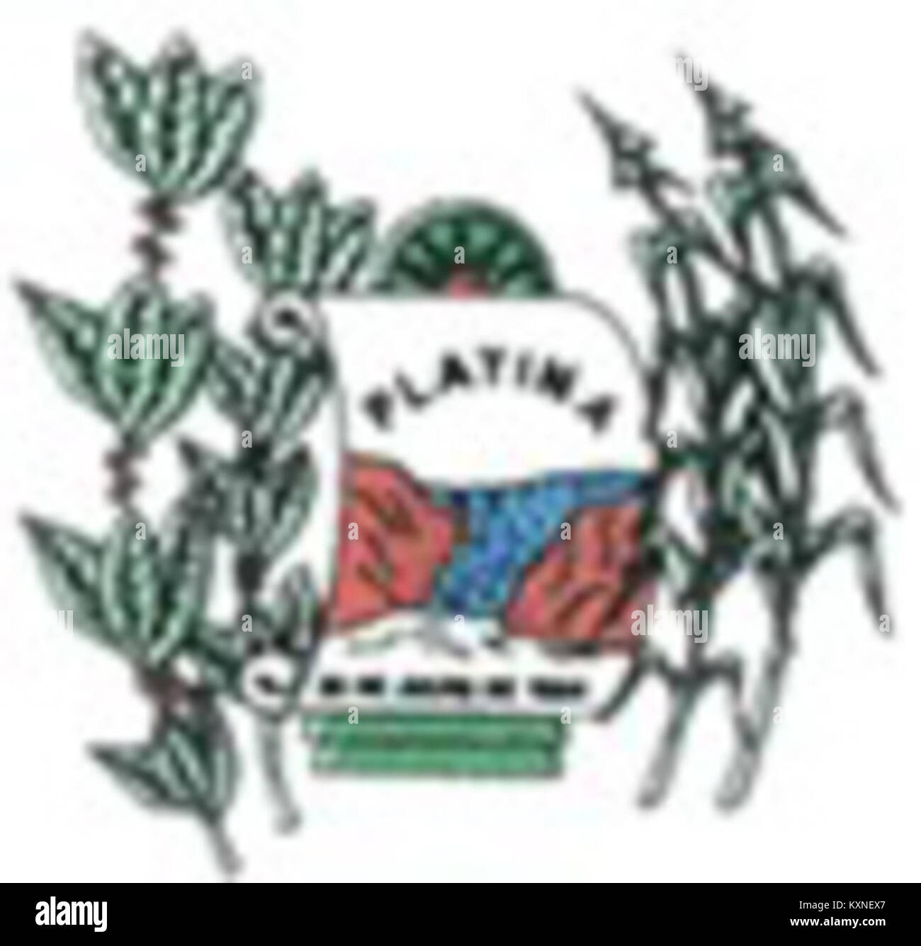 Platina historical hi-res stock photography and images - Alamy