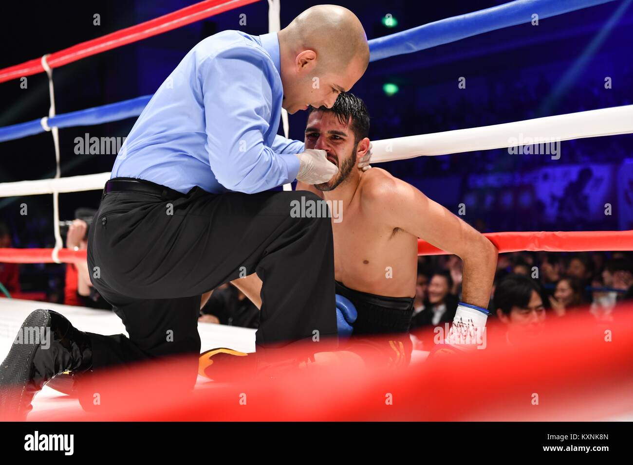 Referee stopped bout hi-res stock photography and images - Alamy